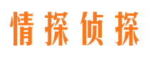 抚远侦探公司